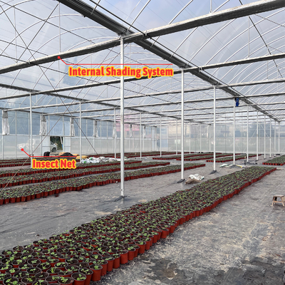 Solución de cultivo de hortalizas 8-60m Tamaño personalizable Invernadero de túnel agrícola con banco rodante y sistema de riego