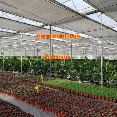 Solución de cultivo de hortalizas 8-60m Tamaño personalizable Invernadero de túnel agrícola con banco rodante y sistema de riego