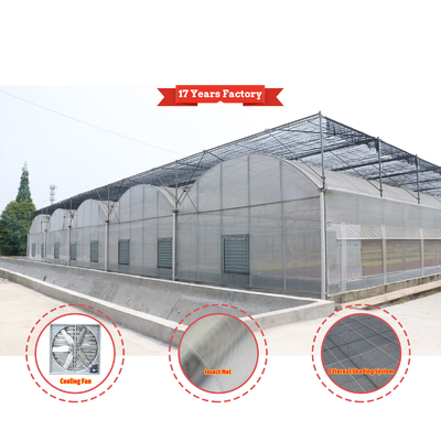 Sistema de sombreado automático de diseño económico a medida Invernaderos de fresas para frutas y hortalizas