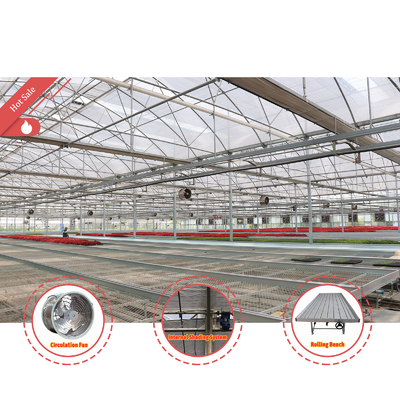 Sistema de sombreado automático de diseño económico a medida Invernaderos de fresas para frutas y hortalizas