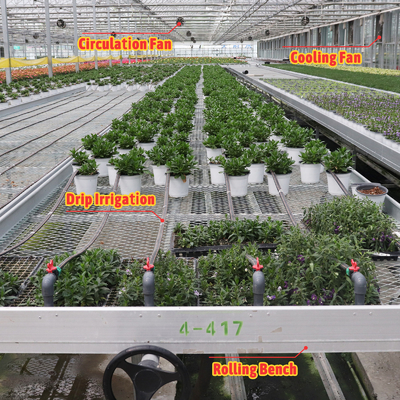 Sistema de sombreado automático de diseño económico a medida Invernaderos de fresas para frutas y hortalizas