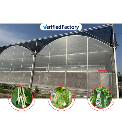 Producción de hortalizas Semillas agrícolas Fresa Invernaderos Multi túnel