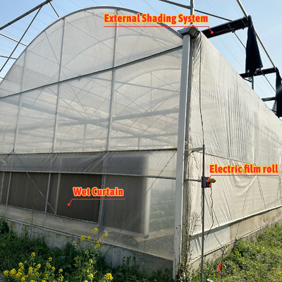 Invernadero de túneles agrícolas de película de plástico de varias franjas Invernadero de fresas para la venta con sistema de ventilación
