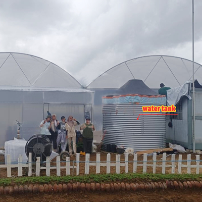 Invernadero agrícola multi-túnel de 6m-12m de ancho con película de PE de 150/200 micras