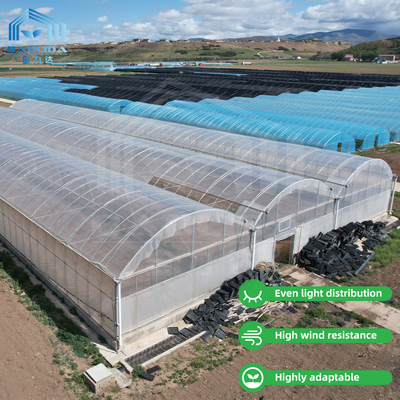 Invernadero de 24m x 40m con cobertura de película PE de 150 micrones