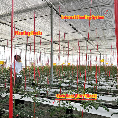 Cuadro de acero galvanizado Invernadero 6m-12m de largo con película PE de 150/200micron