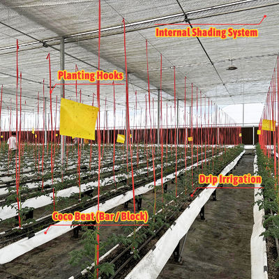 Cuadro de acero galvanizado Invernadero 6m-12m de largo con película PE de 150/200micron