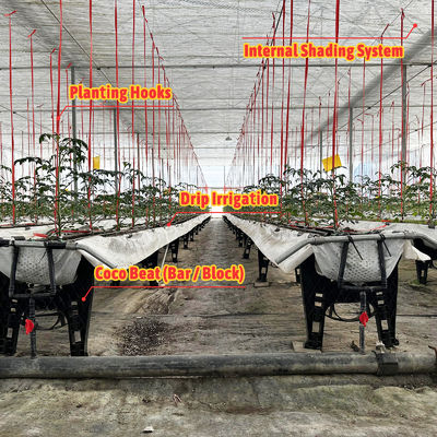 Cuadro de acero galvanizado Invernadero 6m-12m de largo con película PE de 150/200micron