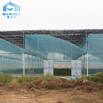 Kit de invernadero agrícola multi-tramos de 6m-12m con 10 años de garantía