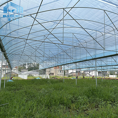 Kit de invernadero agrícola multi-tramos de 6m-12m con 10 años de garantía