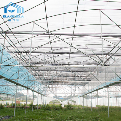 Kit de invernadero agrícola multi-tramos de 6m-12m con 10 años de garantía