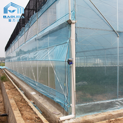 Kit de invernadero agrícola multi-tramos de 6m-12m con 10 años de garantía