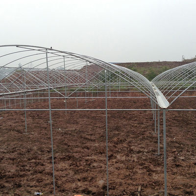 Tropical High Tunnel Multi-span Film Rain Shelter Greenhouse for Plants Cultivation