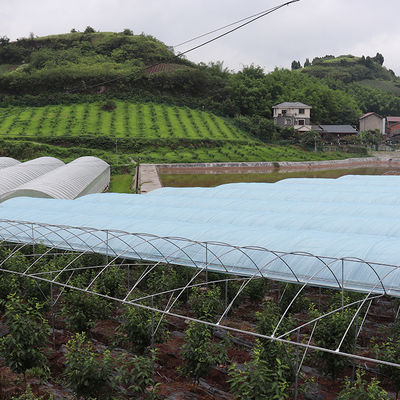 Tropical High Tunnel Multi-span Film Rain Shelter Greenhouse for Plants Cultivation