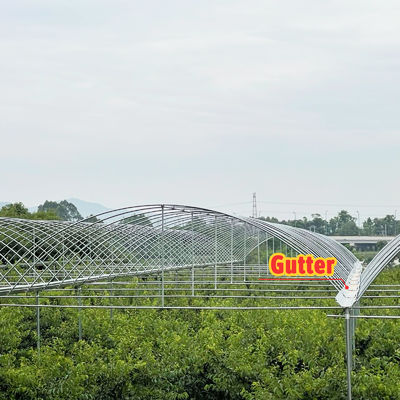 Customizable Size Hot Dipped Galvanized Steel Frame PE Film Covering Rain Shelter Greenhouse for Plants Cultivation