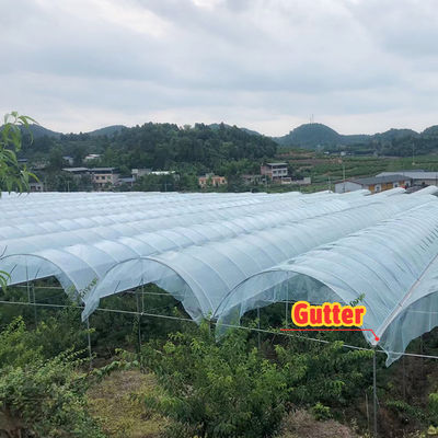 Customizable Size Hot Dipped Galvanized Steel Frame PE Film Covering Rain Shelter Greenhouse for Plants Cultivation