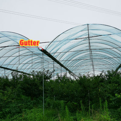 Customizable Size Hot Dipped Galvanized Steel Frame PE Film Covering Rain Shelter Greenhouse for Plants Cultivation
