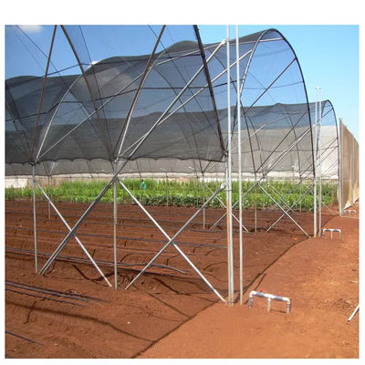 Low Cost Plastic Film Rain Shelter Greenhouse for Berry Planting with Large Size Customizable Dimensions