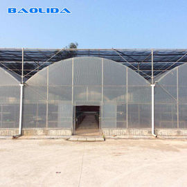 Invernadero de la película plástica de la cubierta de la hoja para el palmo multi agrícola de los tomates