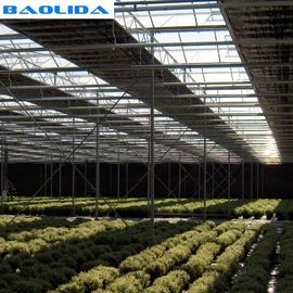 Invernadero automatizado agricultura del apagón/polietileno plástico crecer el túnel