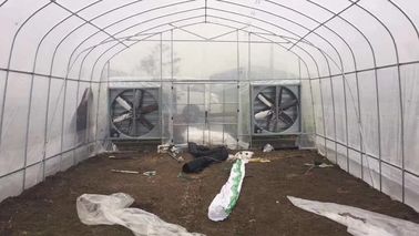 El invernadero de la película de polietileno de la planta de las verduras con el sistema de enfriamiento fácil instala