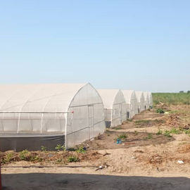 Invernadero agrícola del túnel de la sola película plástica del palmo PE con el sistema de la irrigación por goteo