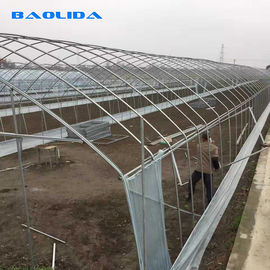 Invernadero de la película de polietileno del túnel de la granja/invernadero del plástico transparente para las diversas verduras