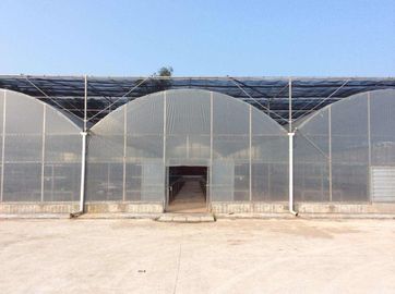 Invernadero multi de gran tamaño del palmo del marco de acero para el establecimiento vegetal del tomate