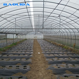 Invernadero multi de gran tamaño del palmo del marco de acero para el establecimiento vegetal del tomate