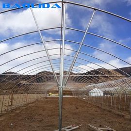Invernadero estable de la película de polietileno de la estructura/invernadero vegetal de la planta de tomate