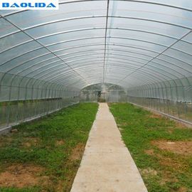 Invernadero plástico del túnel de la ventilación del tejado con el sistema de enfriamiento