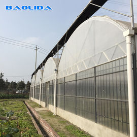 Invernadero multi del palmo de la vertiente plástica/polietileno agrícola crecer el túnel