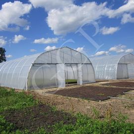 Hoja plástica del túnel estándar clásico del invernadero que cubre el crecimiento vegetal