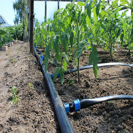 Sistema de la irrigación por goteo del invernadero/sistema de rociadores de arriba para el invernadero