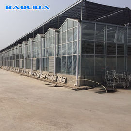 Invernadero solar de la hoja del policarbonato/invernadero agrícola de la hoja de la PC