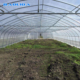 Alto marco de acero agrícola del invernadero de la tienda del aro para el crecimiento del tomate