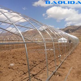 Invernadero plástico del túnel del solo palmo/cultivo polivinílico a prueba de viento del invernadero