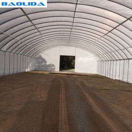 Invernadero plástico del túnel del solo palmo/cultivo polivinílico a prueba de viento del invernadero