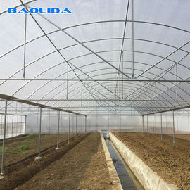 Invernadero agrícola de las láminas de plástico con el marco de acero galvanizado caliente