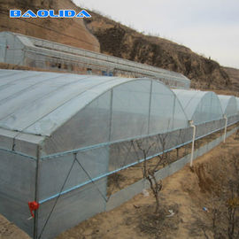 Invernadero agrícola de las láminas de plástico con el marco de acero galvanizado caliente