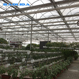 Calientes galvanizados estructuran el invernadero resistente del Multi-palmo del viento del invernadero de Polytunnel de la agricultura