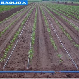 Plantas del sistema automático que crecen agrícolas el sistema de Greenhouse Drip Irrigation del instalador