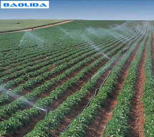 Sistema de irrigación del invernadero de la granja/sistema de riego de Polytunnel del rociador