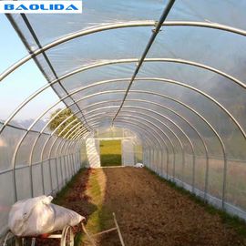 Vegetable Growing Plastic Tunnel Greenhouse Ultraviolet Proof