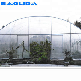 Invernadero de la película plástica del crecimiento vegetal/solo invernadero del palmo del túnel
