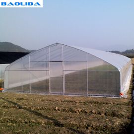 Single Span Plastic Film Tunnel Greenhouse Anti Corrosion Vegetable Growing