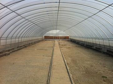 Invernadero de la película plástica del PE con el sistema de enfriamiento para la agricultura