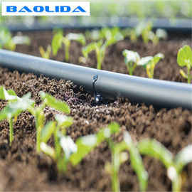 Plantas que crecen el sistema de irrigación del invernadero del PVC de la irrigación por goteo 1m m para la granja