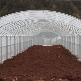 El doble doble de la película arquea el invernadero plástico del túnel del crecimiento vegetal los 2.8m del invernadero