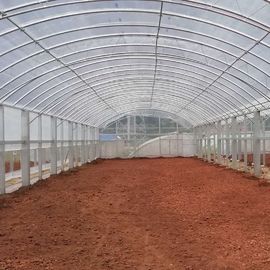 El doble doble de la película arquea el invernadero plástico del túnel del crecimiento vegetal los 2.8m del invernadero